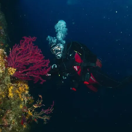 Biser 4* Мощеничка-Драга