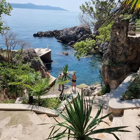 住宿加早餐酒店 Biser