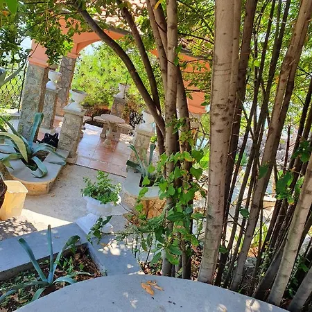 Biser Bed and breakfast