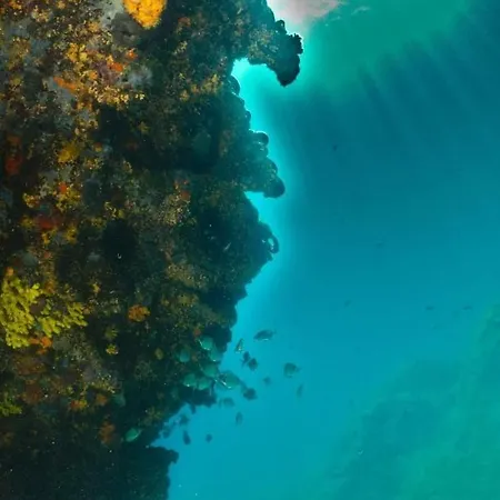 Biser 住宿加早餐酒店 Mošćenička Draga