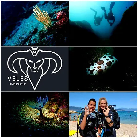 Biser Mošćenička Draga