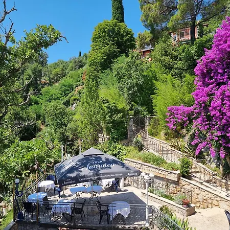 住宿加早餐酒店 Biser