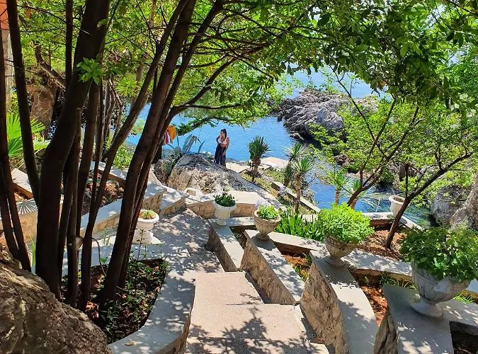 住宿加早餐酒店 Biser