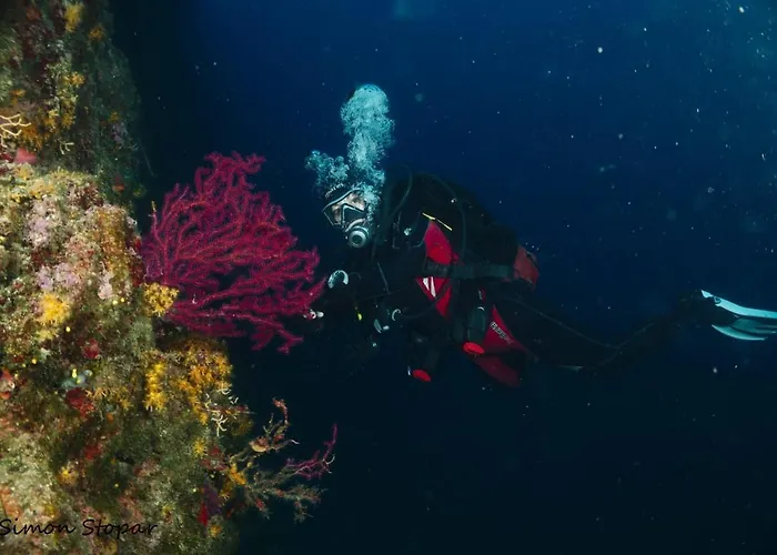 Biser 4* Mošćenička Draga