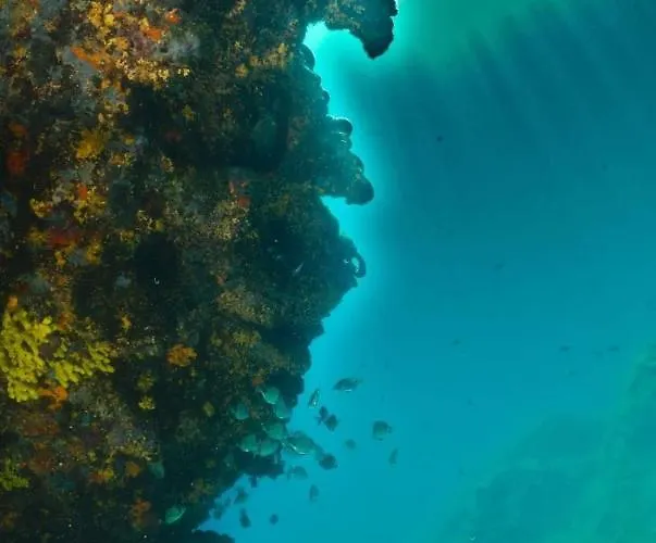 Biser ベッド・アンド・ブレックファスト Mošćenička Draga