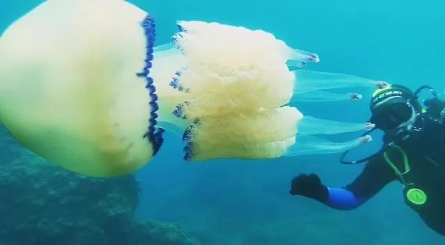 Biser 住宿加早餐酒店