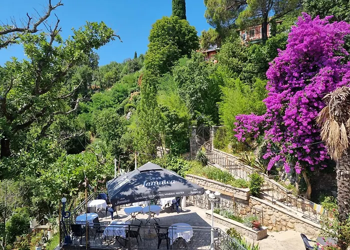 ベッド・アンド・ブレックファスト Biser